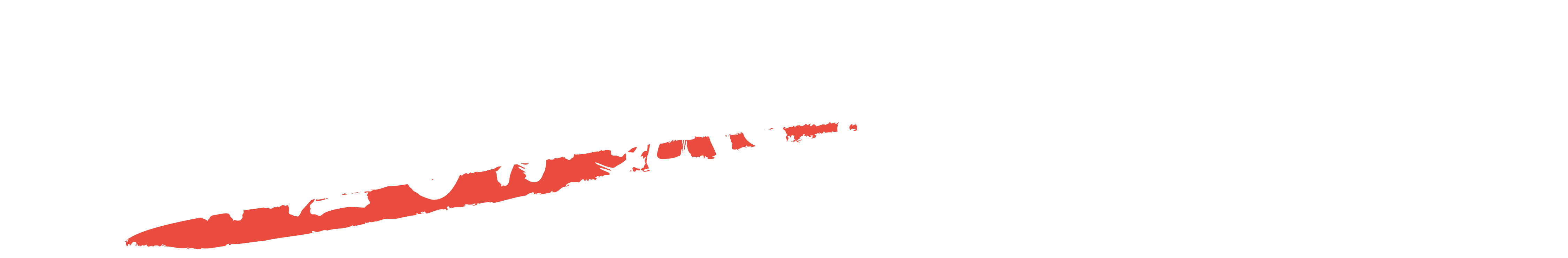 これ1本
