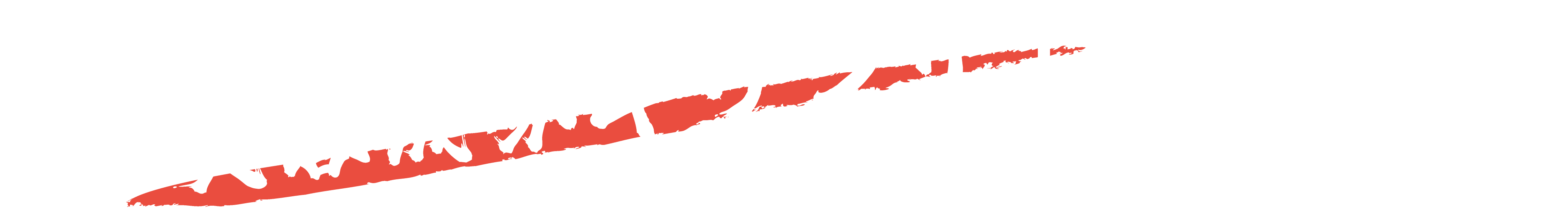 これ1本